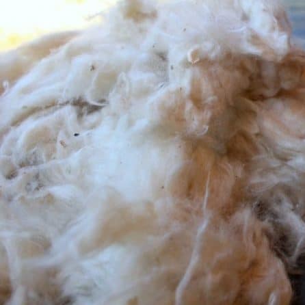 KAPOK BIOLOGICO PURO Per RIPIENO ZAFUS, ORSACCHIOTTI, GIOCATTOLI - Foto 3